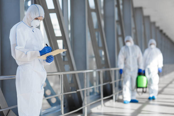 Environmental Consulting for Mold Prevention in South Huntington, NY