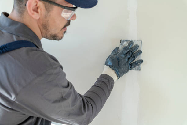 Best Basement Mold Removal  in South Huntington, NY