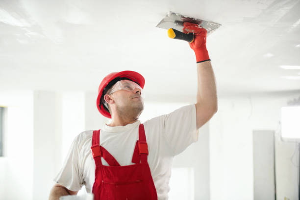 Best Mold Removal for HVAC Installations  in South Huntington, NY