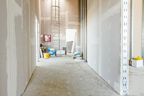 Best Mold Damage Restoration  in South Huntington, NY